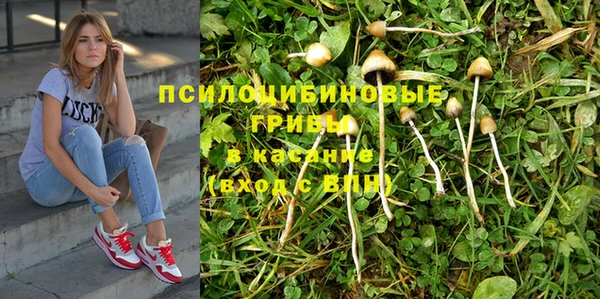 спиды Алзамай