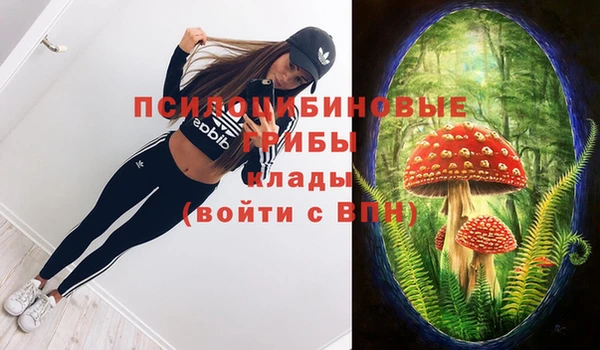 спиды Алзамай